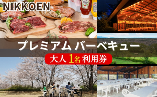 NIKKOEN プレミアム バーベキュープラン 大人1名利用券[ 日光園 アウトドア 手軽 手ぶら 焼肉 ステーキ シーフード 魚介 家族 ファミリー 花見 お花見 ] 1621779 - 兵庫県加東市