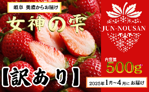 【訳あり】いちご/2025年1月から3月/250g×2パック/岐阜県美濃市産/ 1621807 - 岐阜県美濃市