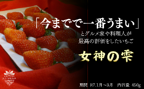 「今までで1番旨い」とグルメ家がうなったイチゴ【女神の雫】/2025年1月から3月/450g/岐阜県/美濃市/じゅん農産/1 1621808 - 岐阜県美濃市