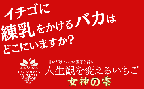 「今までで1番旨い」とグルメ家がうなったイチゴ【女神の雫】/2025年1月から3月/450g/岐阜県/美濃市/じゅん農産/2 1621809 - 岐阜県美濃市