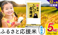 【12ヶ月定期便】米 無洗米 家庭用 熊本 ふるさと応援 定期便 米  5kg《申込み翌月から発送》 熊本県産 白米 精米 山江村 ブレンド米 国産 おうちご飯 予約 返礼品 発送 配送 SDGs わけあり むせんまい お米 おこめ