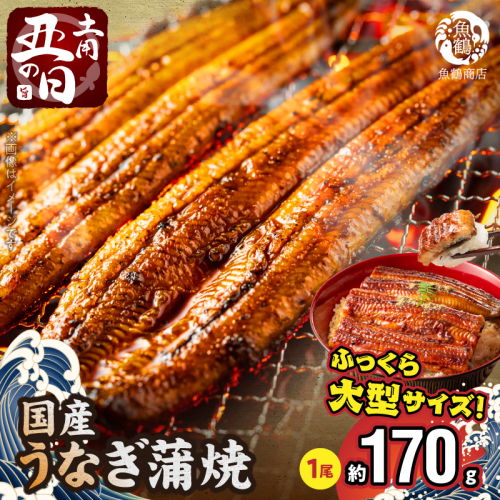 G7312_【土用の丑の日】＜10月23日までにお届け＞ふっくら柔らか 国産うなぎ蒲焼き 1尾 1621906 - 和歌山県湯浅町