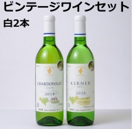 十勝ワインビンテージ白ワイン2本セット【Ａ002-5 】