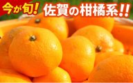 デコポン 不知火 約5kg 佐賀県産 みかん 柑橘類 ※配送不可:北海道、沖縄県、離島