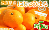 みかん 家庭用 佐賀県産 にじゅうまる 約5kg 柑橘類 ※配送不可:北海道、沖縄県、離島