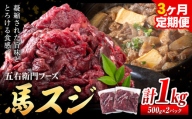 馬肉 馬スジ 500g × 2パック 3kg 3ヶ月定期便 五右衛門フーズ [お申込み月の翌月から出荷開始] 熊本県 球磨郡 山江村 馬肉 肉 国産 スジ カレー 煮込み おでん おかず 送料無料