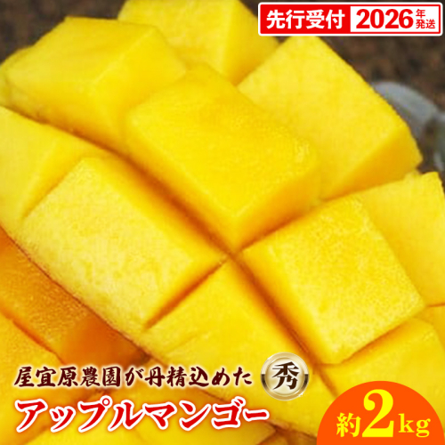【先行受付】【2026年発送】屋宜原農園が丹精込めた「アップルマンゴー」秀約2kg - 先行予約 沖縄県産 産地直送 南国フルーツ 旬の味覚 旬のフルーツ 贈り物 ギフト 沖縄県 八重瀬町 162495 - 沖縄県八重瀬町