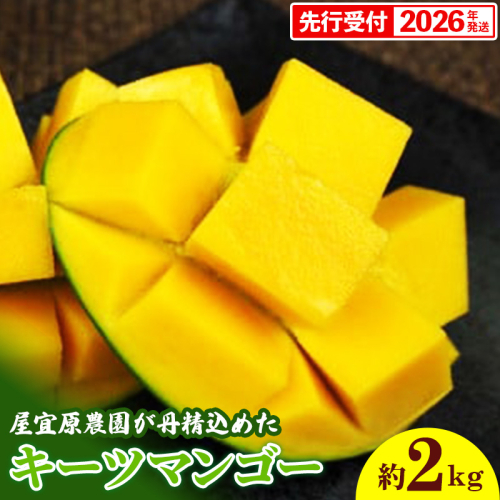 【先行受付】【2026年発送】屋宜原農園が丹精込めた「キーツマンゴー」約2kg - 先行予約 沖縄 産地直送 南国フルーツ 旬の味覚 沖縄県産 国産マンゴー 希少種 オススメ 沖縄県 八重瀬町 162497 - 沖縄県八重瀬町