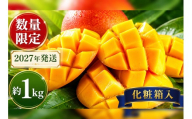 ＜2027年発送＞アップルマンゴー約1kg【化粧箱・秀品】