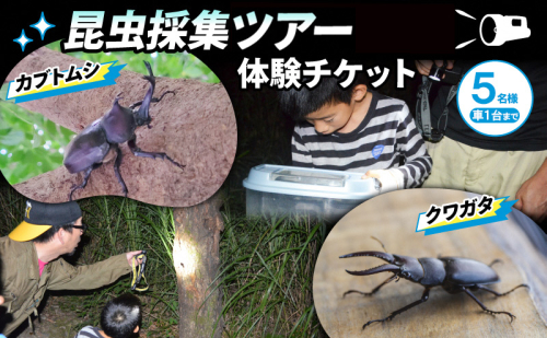 NHKテレビで取り上げられました！先行予約【体験期間 2026年6月～8月中旬】虫捕り名人と行く「昆虫採集ツアー」ご利用券(5名様・車1台まで)他グループと同行有 昆虫 カブトムシ クワガタ 夏休み 親子 京都 南山城村 162572 - 京都府南山城村