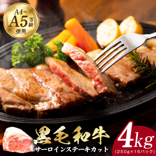 A5/A4ランク 黒毛和牛 サーロインステーキカット 合計4kg（250g×16P）【極味付け肉】 CFX0062 1626431 - 大阪府泉佐野市
