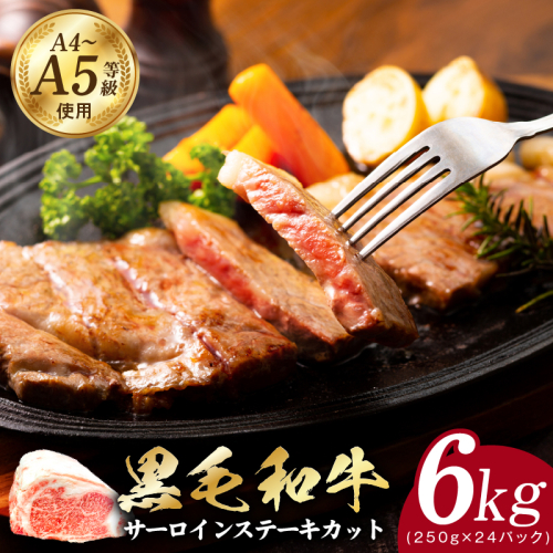 A5/A4等級 黒毛和牛 サーロインステーキカット 合計6kg（250g×24P）【極味付け肉】 CFX0036 1626432 - 大阪府泉佐野市