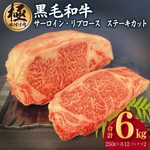 A5/A4等級 黒毛和牛 サーロイン/リブロース ステーキカット 合計6kg（各250g×12P）【極味付け肉】 G1578 1626437 - 大阪府泉佐野市