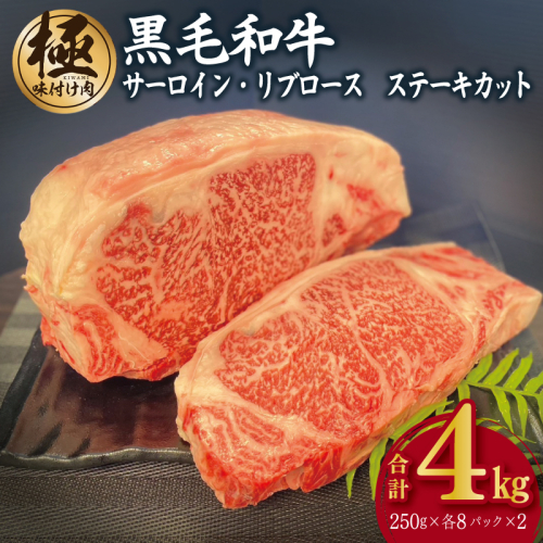 A5/A4等級 黒毛和牛 サーロイン/リブロースステーキカット 合計4kg（各250g×8P）【極味付け肉】 G1579 1626438 - 大阪府泉佐野市