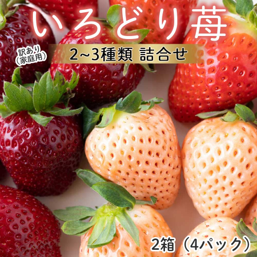 【2月～4月 順次配送】玄海町産いろどりいちご詰め合わせ（家庭用・訳あり） 1626446 - 佐賀県玄海町