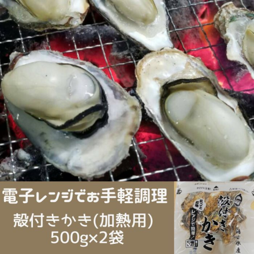 白方かき 電子レンジでお手軽調理　殻付きかき(加熱用)　500g×2袋【令和7年1月頃から4月頃までの期間限定出荷】【L-31】 162661 - 香川県多度津町