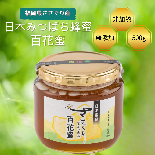 日本蜜蜂「ささぐり里山のはちみつ」（百花蜜）500ｇ AA001 1626864 - 福岡県篠栗町