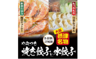 ＜96個入＞やみつき焼き餃子と水餃子セット 日々のおかず、餃子パーティーギフトにおすすめ【1334755】