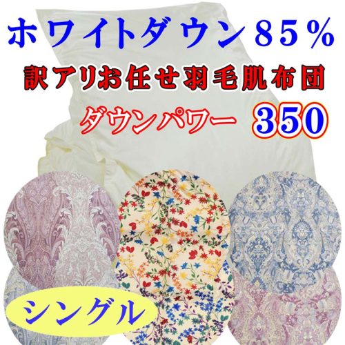 【訳あり】羽毛肌ふとん シングル お任せ ホワイトダウン85% 羽毛肌布団 羽毛布団 羽毛肌掛け布団 肌掛けふとん 夏用羽毛布団 寝具 布団 布団 150×210cm dp350 FAG058 162759 - 山梨県富士河口湖町