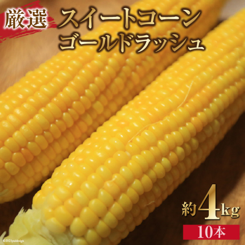 新鮮!甘い!スイートコーン ゴールドラッシュ10本 「道の駅とよとみ」より厳選したものを出荷! 162768 - 山梨県中央市