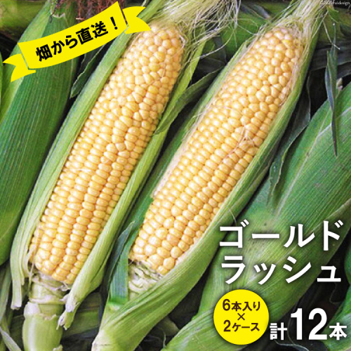 スイートコーン (ゴールドラッシュ) 12本 [株式会社えべし 山梨県 中央市 21470248] とうもろこし トウモロコシ コーン やさい 野菜 旬野菜 旬 季節限定 期間限定 冷蔵 【2026年7月上旬-7月下旬発送予定】 162769 - 山梨県中央市
