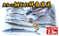 【12ヶ月定期便】大和海商の朝どれ鮮魚直送定期便　2.5kg　G025