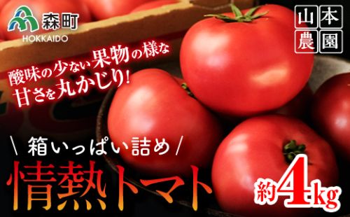 【先行予約】箱いっぱい詰め！情熱トマト 約4kg（9月下旬より順次発送）《山本農園》 森町 トマト 北海道産 ふるさと納税 北海道 mr1-0137 162853 - 北海道森町
