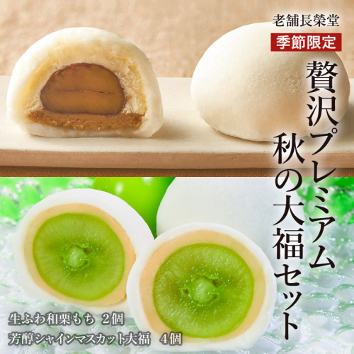老舗長榮堂「【季節限定】贅沢プレミアム 秋の大福セット」計6個 FZ21-851 菓子 スイーツ 詰合せ 詰め合わせ 土産 ギフト プレゼント 贈り物 おすすめ 美味しい 162884 - 山形県山形市