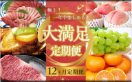 [12ヶ月定期便]極上!一年中楽しめる!大満足定期便♪ /肉 牛肉 マグロ 鮑 マスカット みかん 桃[tkb410]