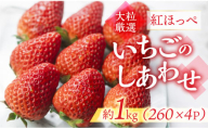 ≪先行予約≫[愛知県・田原産]ブランドいちご「いちごのしあわせ」4パック(約260g×4P) お届け月指定なし/ 苺 イチゴ フルーツ 果物 農薬節減 愛知県 特産品 産地直送 田原市 渥美半島