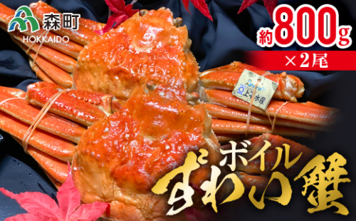 ボイルずわい蟹（約800g×2尾） ＜上平水産＞ かに カニ 蟹 ガニ がに 森町 ふるさと納税 北海道 ずわい蟹 ずわいかに ズワイガニ ズワイカニ mr1-0134 162976 - 北海道森町