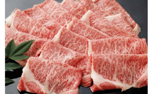 生産牧場指定　料亭こだわりの近江牛　ローススライス【500ｇ】【DM02W】 163119 - 滋賀県近江八幡市