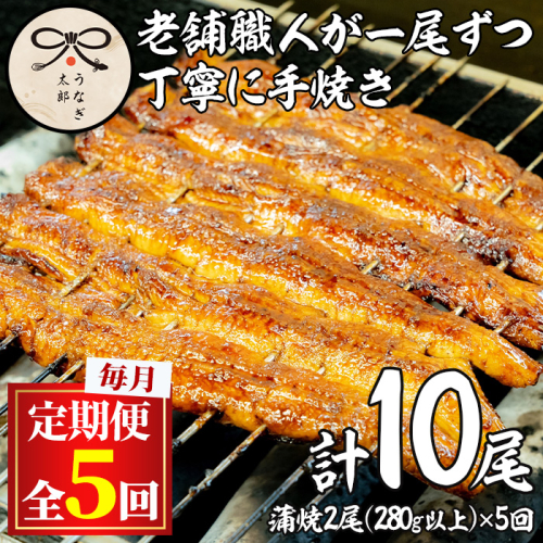 【1303707b】＜定期便・全5回(連続)＞鹿児島県産東串良町のうなぎ蒲焼(2尾・計280g以上・秘伝のタレ付き×5回) うなぎ 高級 ウナギ 鰻 国産 蒲焼 蒲焼き たれ 鹿児島【うなぎ太郎】 163178 - 鹿児島県東串良町
