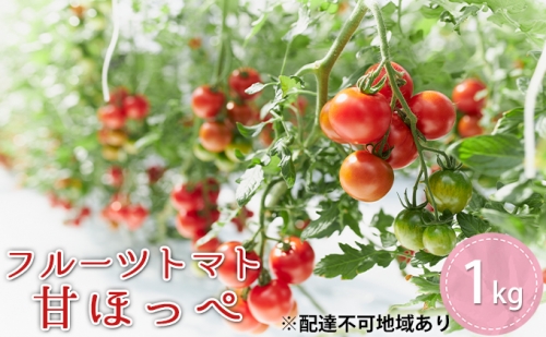 フルーツトマト『甘ほっぺ（フルティカ）』1kg 163298 - 兵庫県加東市