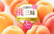 [2025年 先行予約] 山形の旬のおいしさ食べ比べ 山形の桃三昧 3回定期便 桃 果物 フルーツ