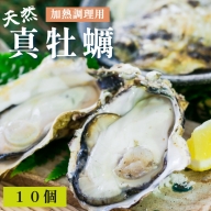 【ふるさと納税】活 天然 牡蠣 10個入 （加熱調理用） カキ 牡蛎 かき オイスター【送料無料】