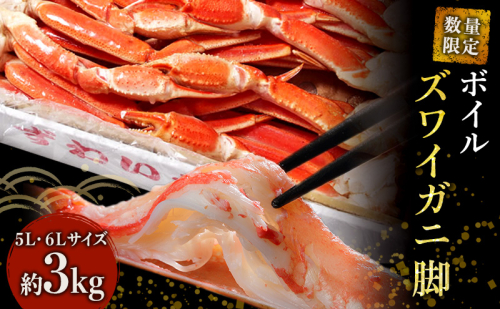 数量限定 蟹 ボイル ズワイガニ 脚 5L 6L 3kg 163574 - 宮城県亘理町