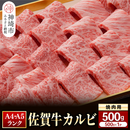 【佐賀牛】カルビ焼肉用500g 【グルメ プレゼント ギフト 肉 牛肉 ブランド牛 国産 和牛】(H081107) 163967 - 佐賀県神埼市