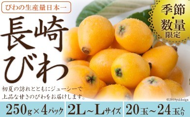 【期間限定発送】【数量限定】 長崎びわ 約 1kg [長崎県農産品流通 長崎県 雲仙市 item1562] ビワ 枇杷 果物 くだもの フルーツ 季節限定 期間限定 1640461 - 長崎県雲仙市