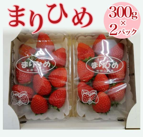 【2024年1月中旬～発送】「まりひめ」和歌山県オリジナルいちご　約300g×2パック入
※北海道・沖縄・離島への配送不可 164088 - 和歌山県美浜町