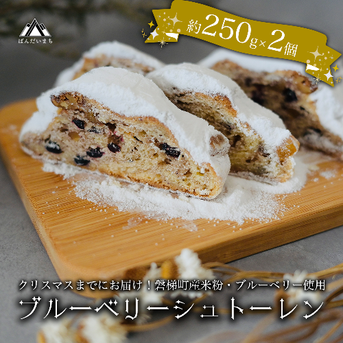 【クリスマスまでに発送】【予約】ブルーベリー シュトーレン （小） 250g前後×2個　※令和8年12月17日より発送 164098 - 福島県磐梯町