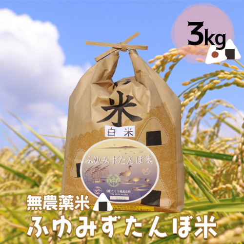 (03534)宮城県大崎市田尻産　無農薬米「ふゆみずたんぼ米」3kg【2024年産】 1641017 - 宮城県大崎市