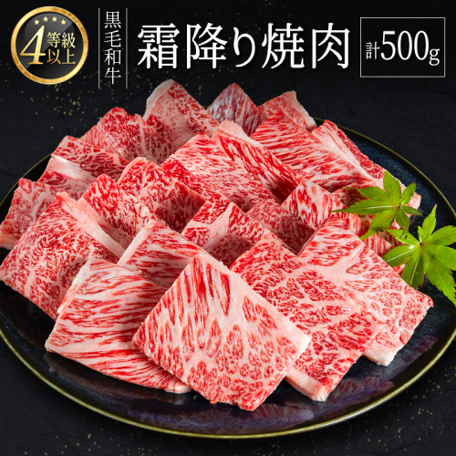 ＜肉質等級4等級以上＞黒毛和牛 霜降り 焼肉 計500g 牛肉 BBQ 国産 宮崎県産【B651-25】 1641108 - 宮崎県新富町