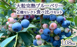 ＜ポイント その1＞49才で脱サラした元製薬会社研究開発社員（薬学博士）のオーナーが「腸活」と「竹乳酸菌」をヒントに独自に開発した「竹パウダー＆ウッドチップ農法」で育てた栽培期間中農薬不使用のブルーベ