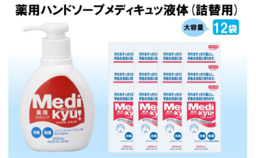 薬用ハンドソープ メディキュッ 液体 詰替用 1000ml×12袋【B2-018】 1641272 - 福岡県飯塚市