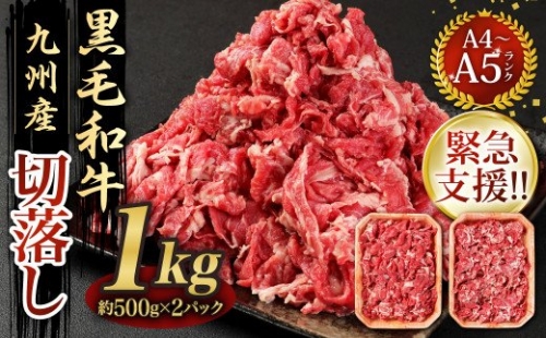 九州産 和牛 切り落とし 計1kg（約500g×2パック） 牛肉 バラ モモ カタ お肉