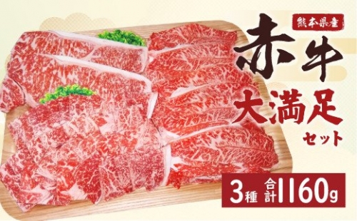 熊本県産 赤牛 大満足セット 合計1.16kg（サーロイン、ロースなど） 164336 - 熊本県八代市