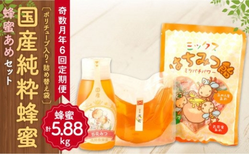 【定期便 年6回 奇数月】ポリチューブ蜂蜜＆詰め替え袋+蜂蜜あめ袋セット 164424 - 熊本県八代市