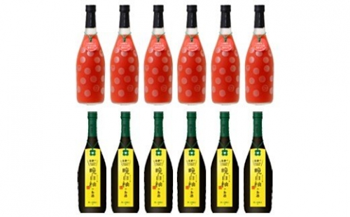 晩白柚のお酒・KUMA TOMATO 各6本 合計12本 リキュール