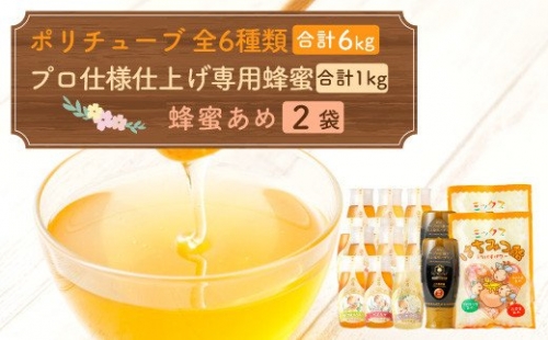 ポリチューブ全6種類 プロ仕様仕上げ専用蜂蜜 蜂蜜あめ 各2本づつ 164496 - 熊本県八代市